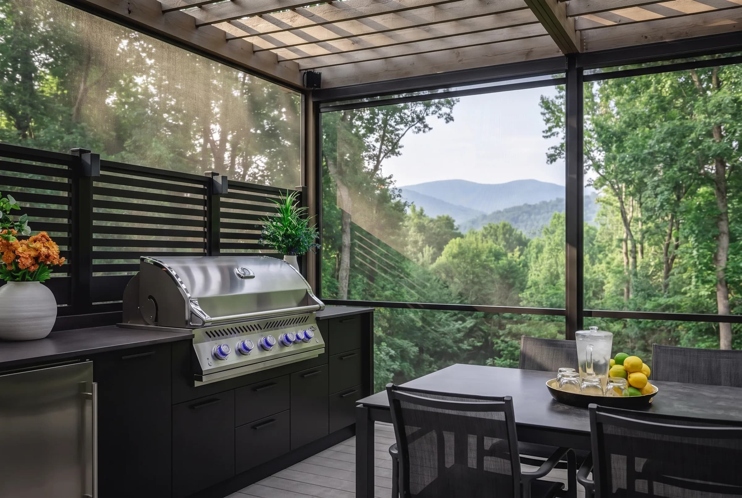 Rendering — screened, smokies beyond in Tennessee